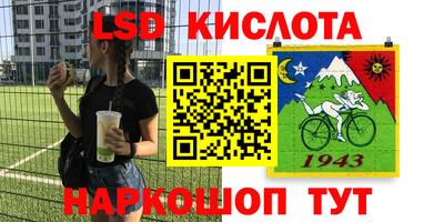 шишки Усть-Илимск