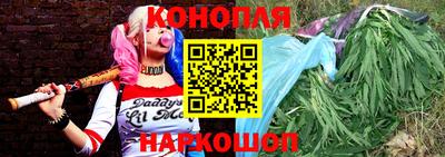 шишки Усть-Илимск