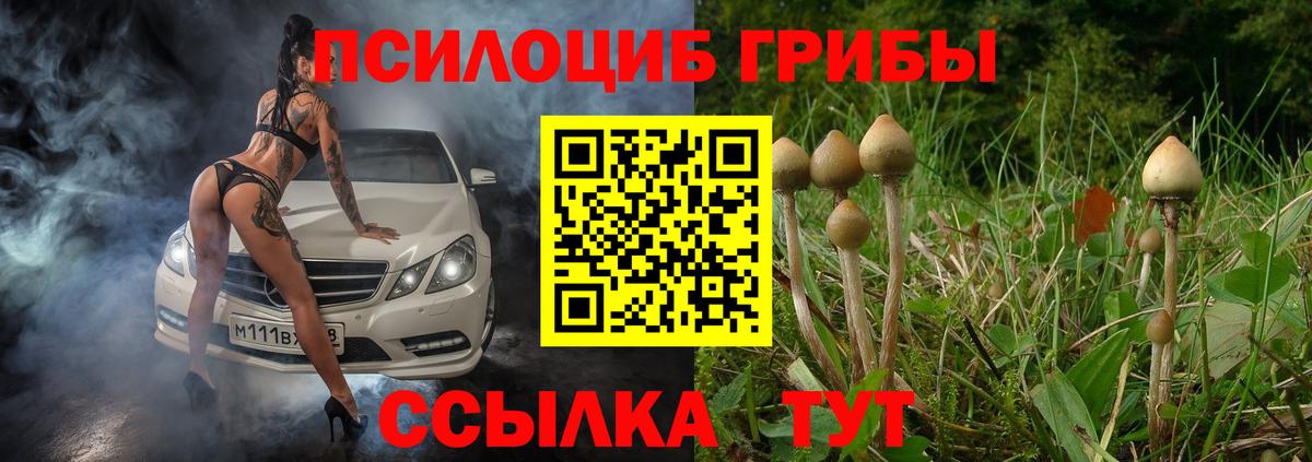 Норильск  Галлюциногенные грибы Magic Shrooms  Вход с VPN 
